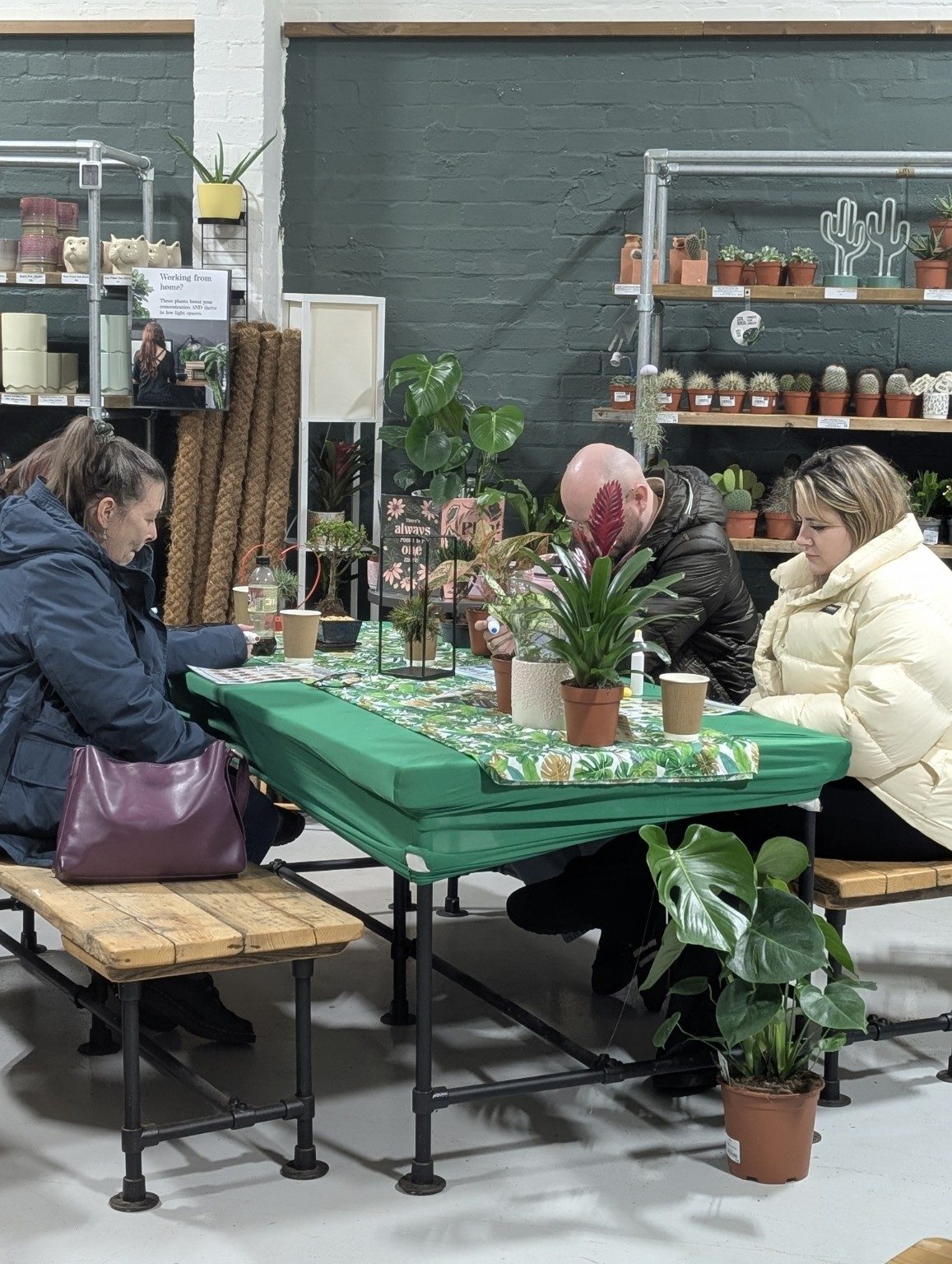 Plant Bingo | Grow With Joe Events | Friday 14th August |