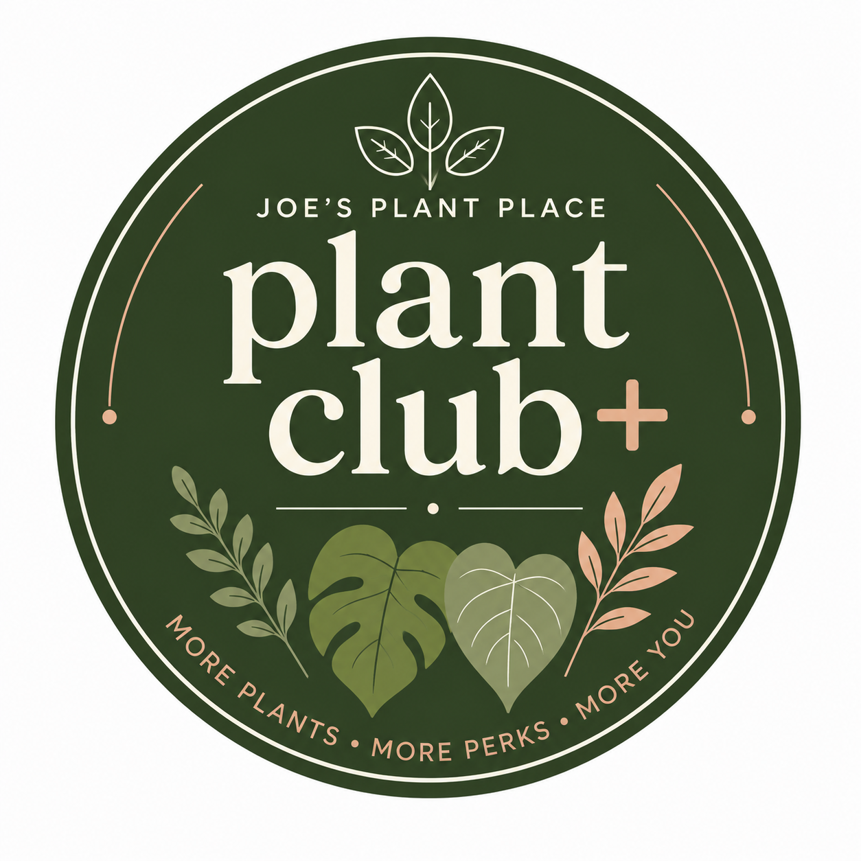 Joe's Plant Club+ | Monthly Plant Membership