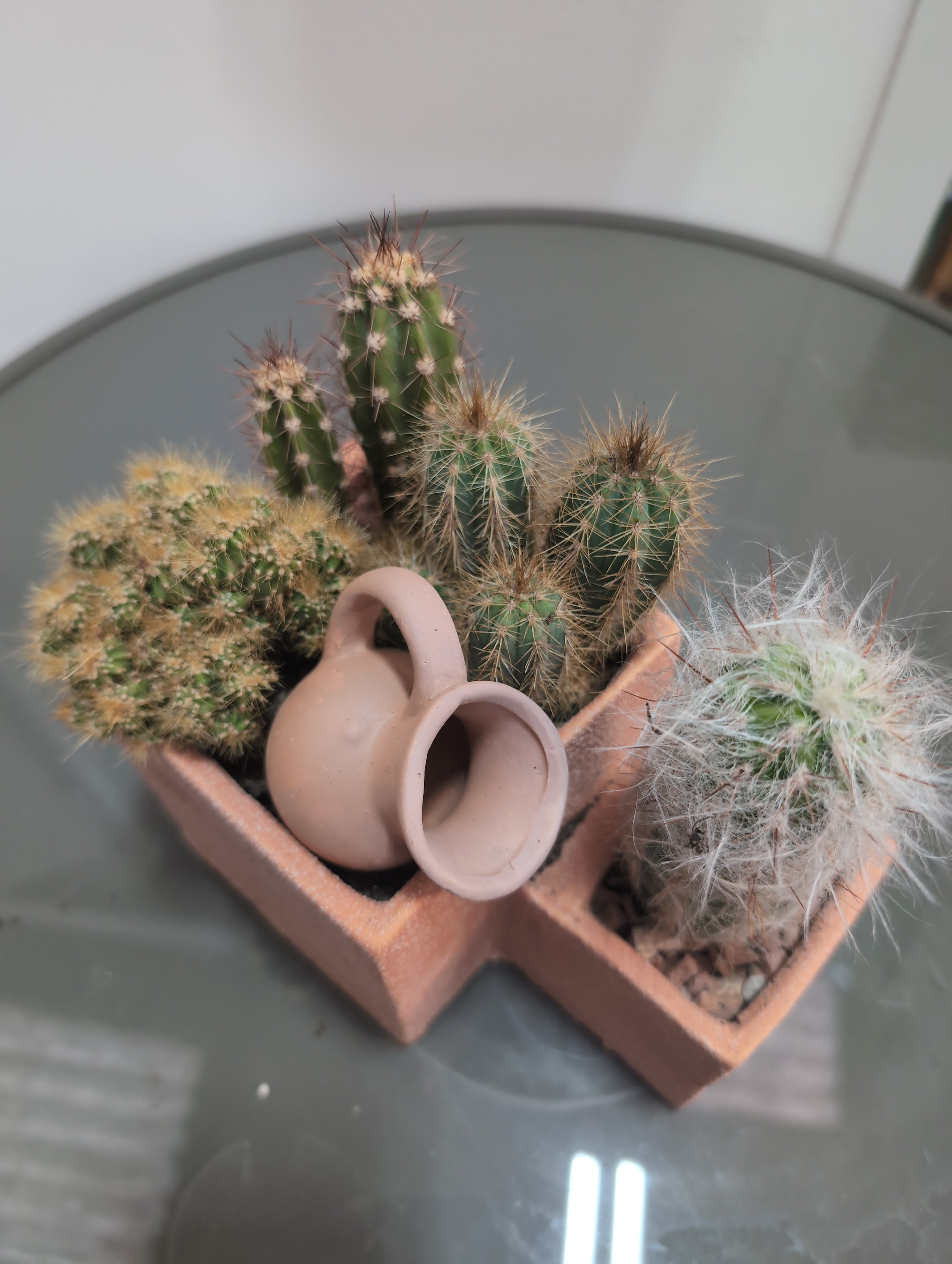 Cacti  - 2 level in terracotta (Medium)