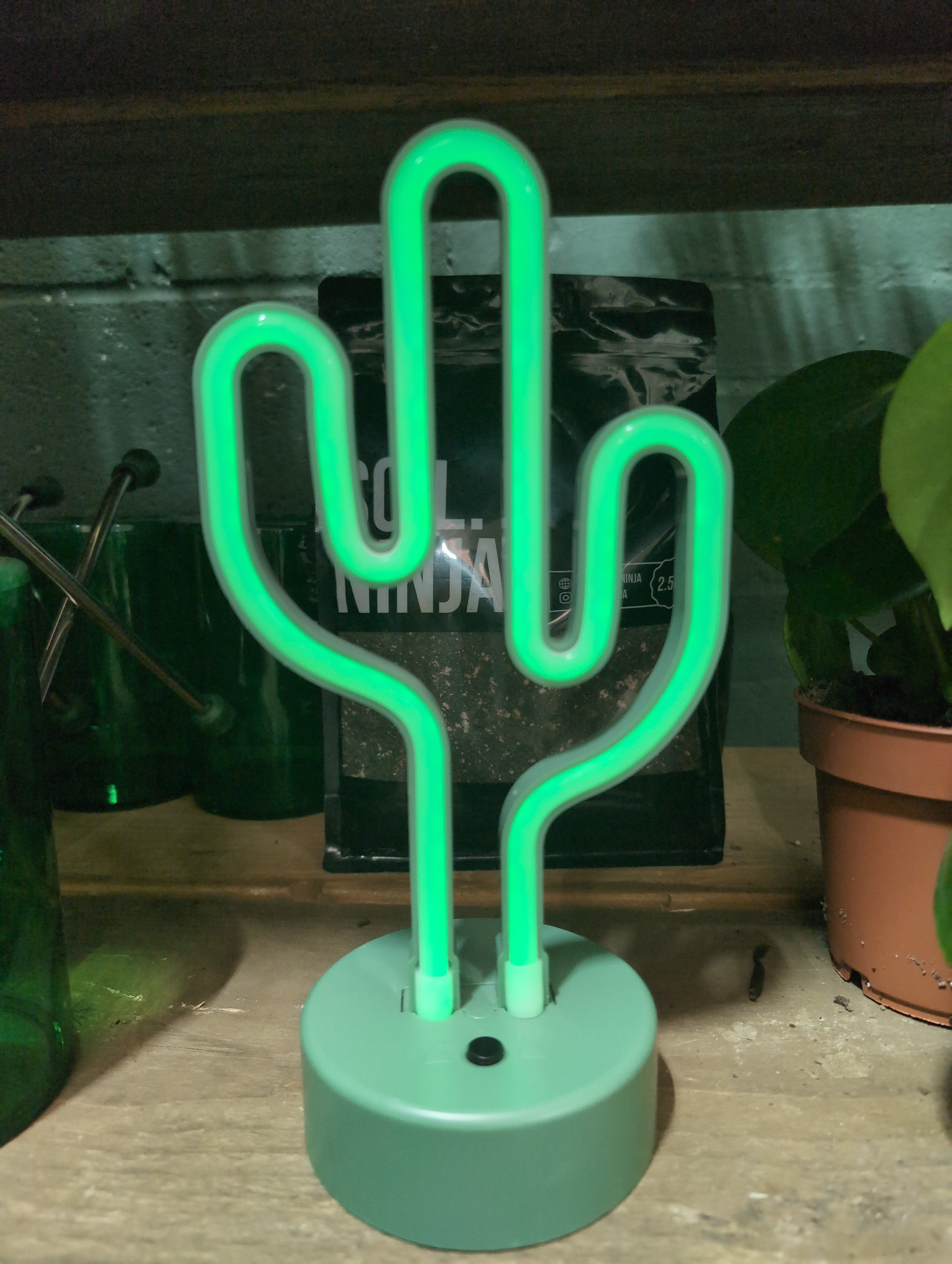 Cactus Neon Table Lamp (Battery)