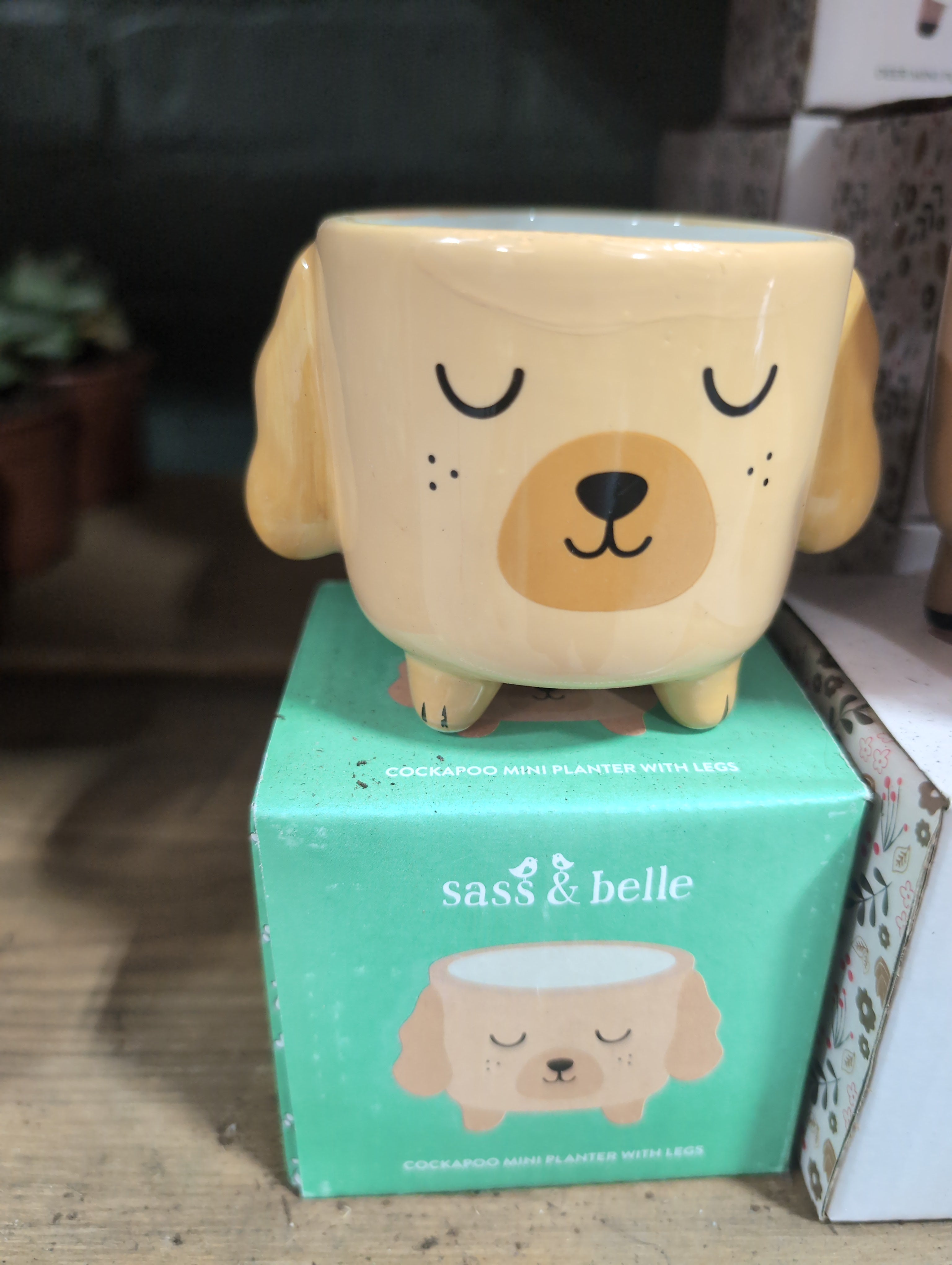 Mini Cockapoo dog Pot on Legs