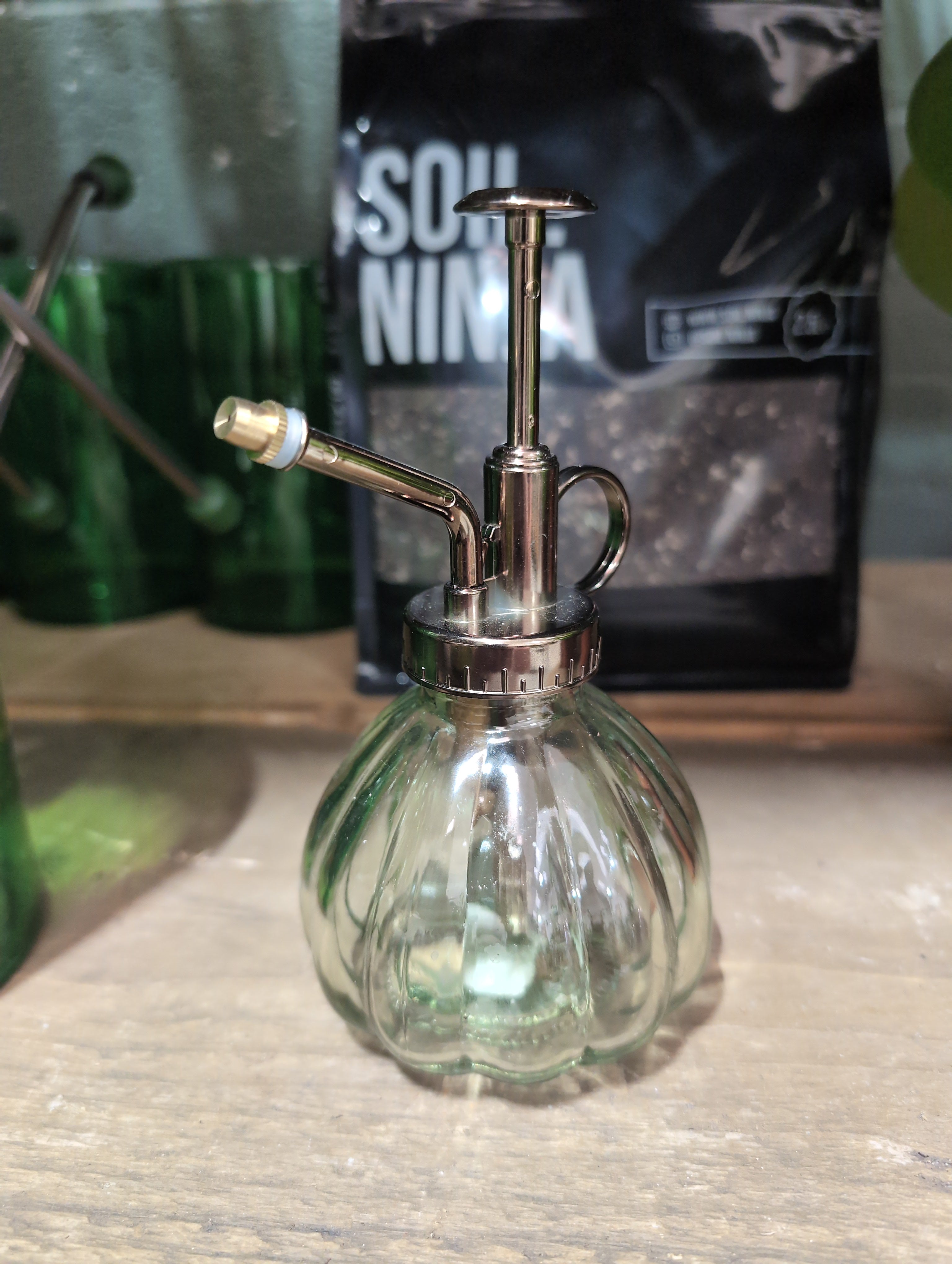 Glass Plant Mister