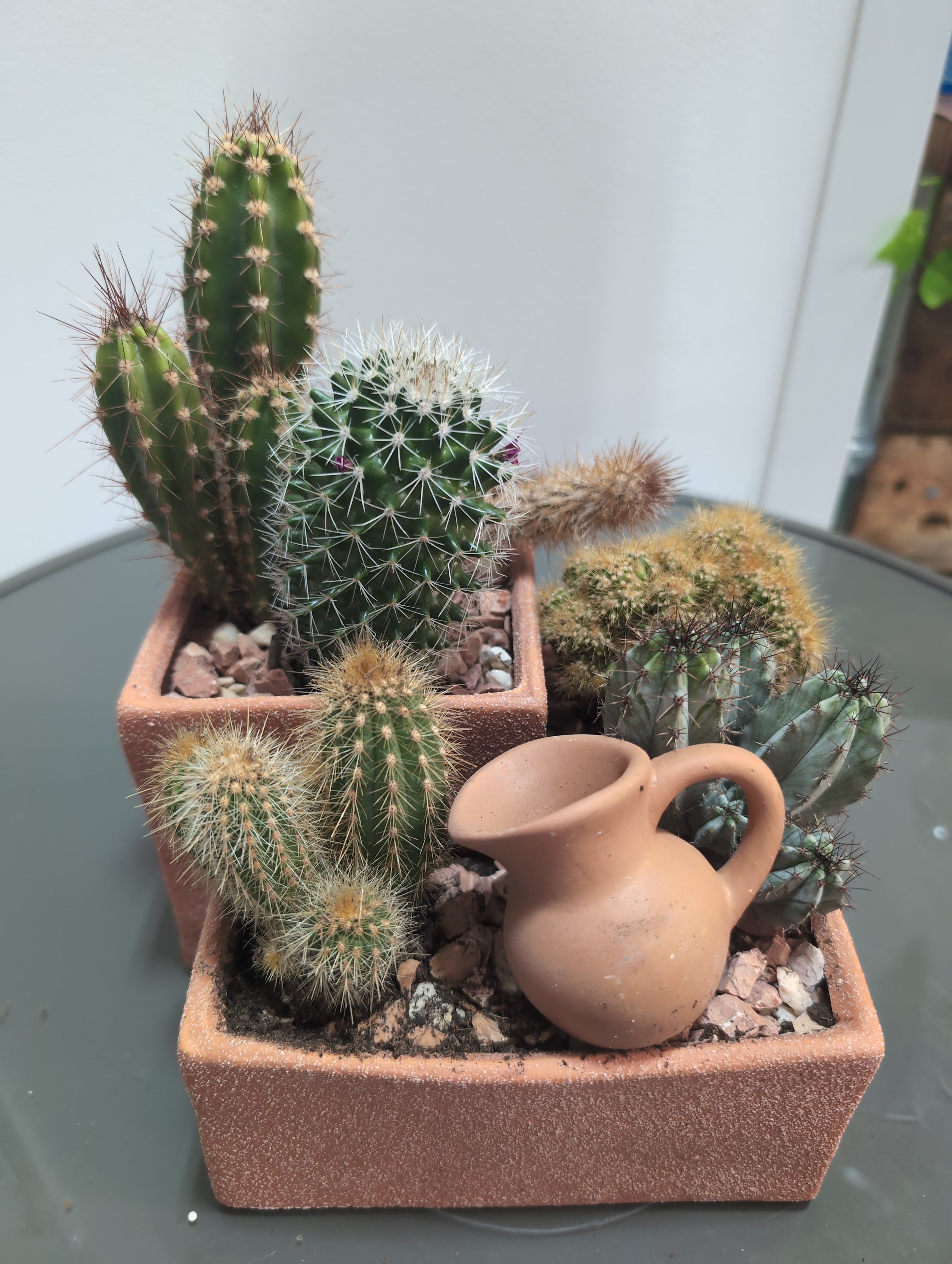 Cacti  - 3 level in terracotta (Large)