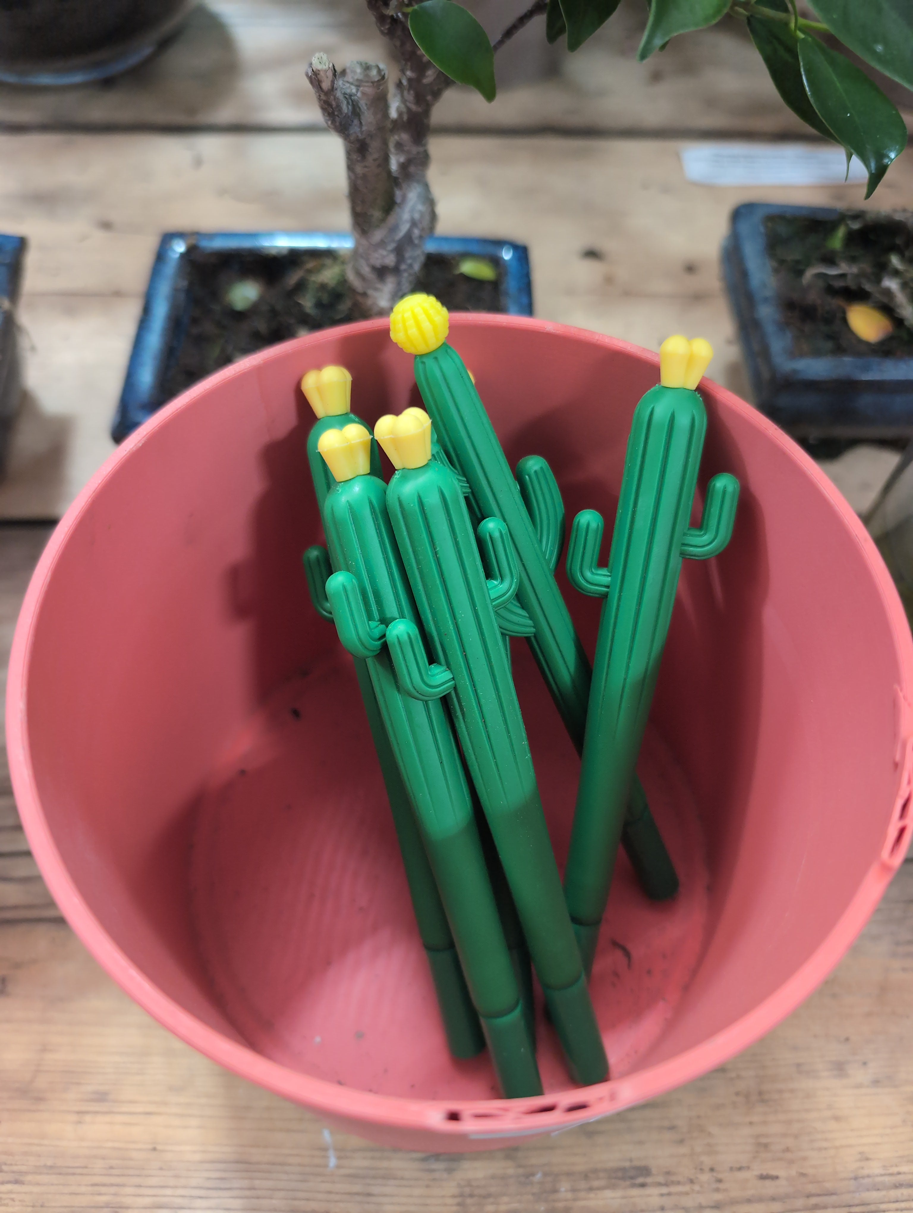 Cactus - Novelty Pen