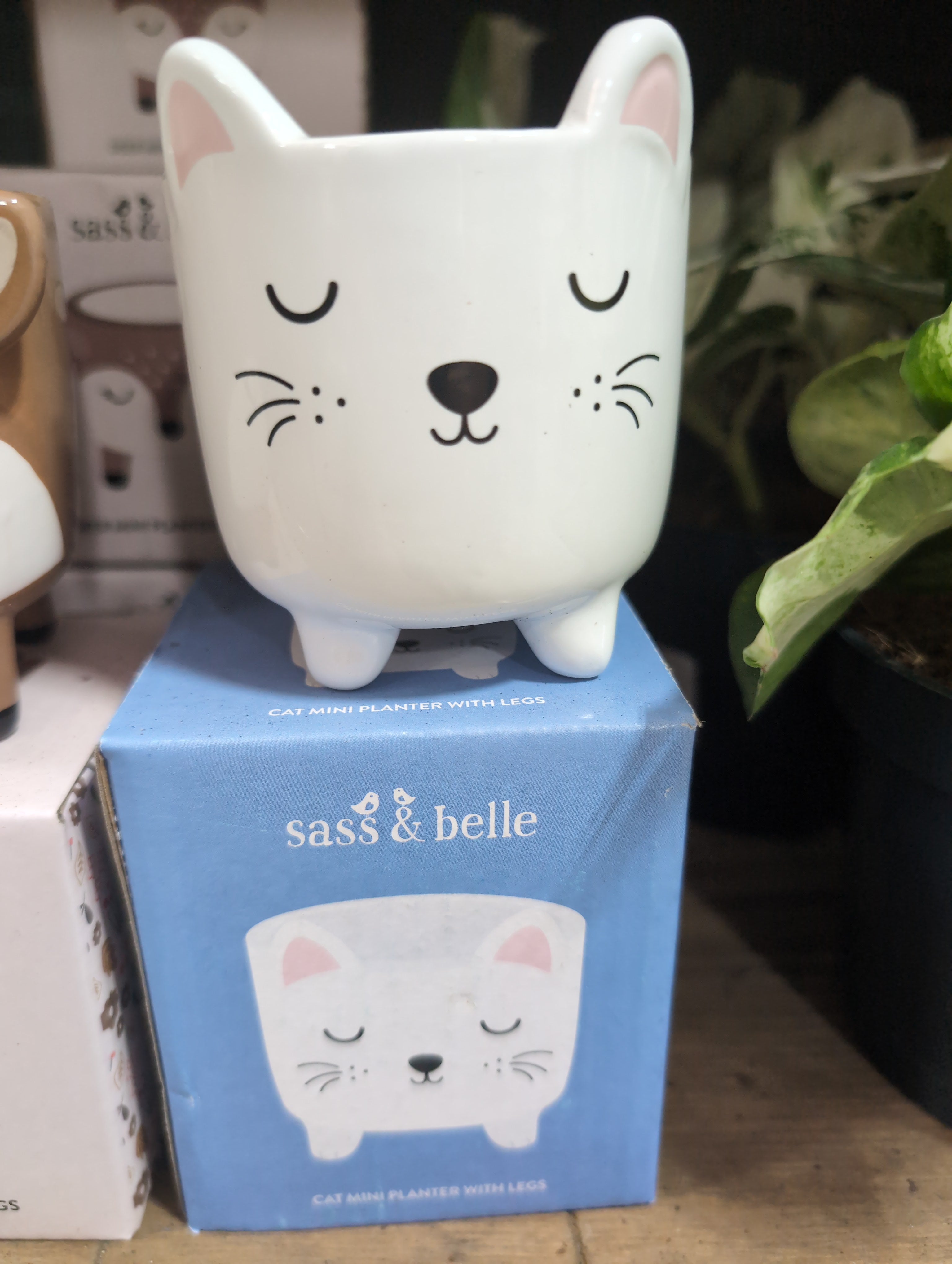Mini Cat Planter on Legs
