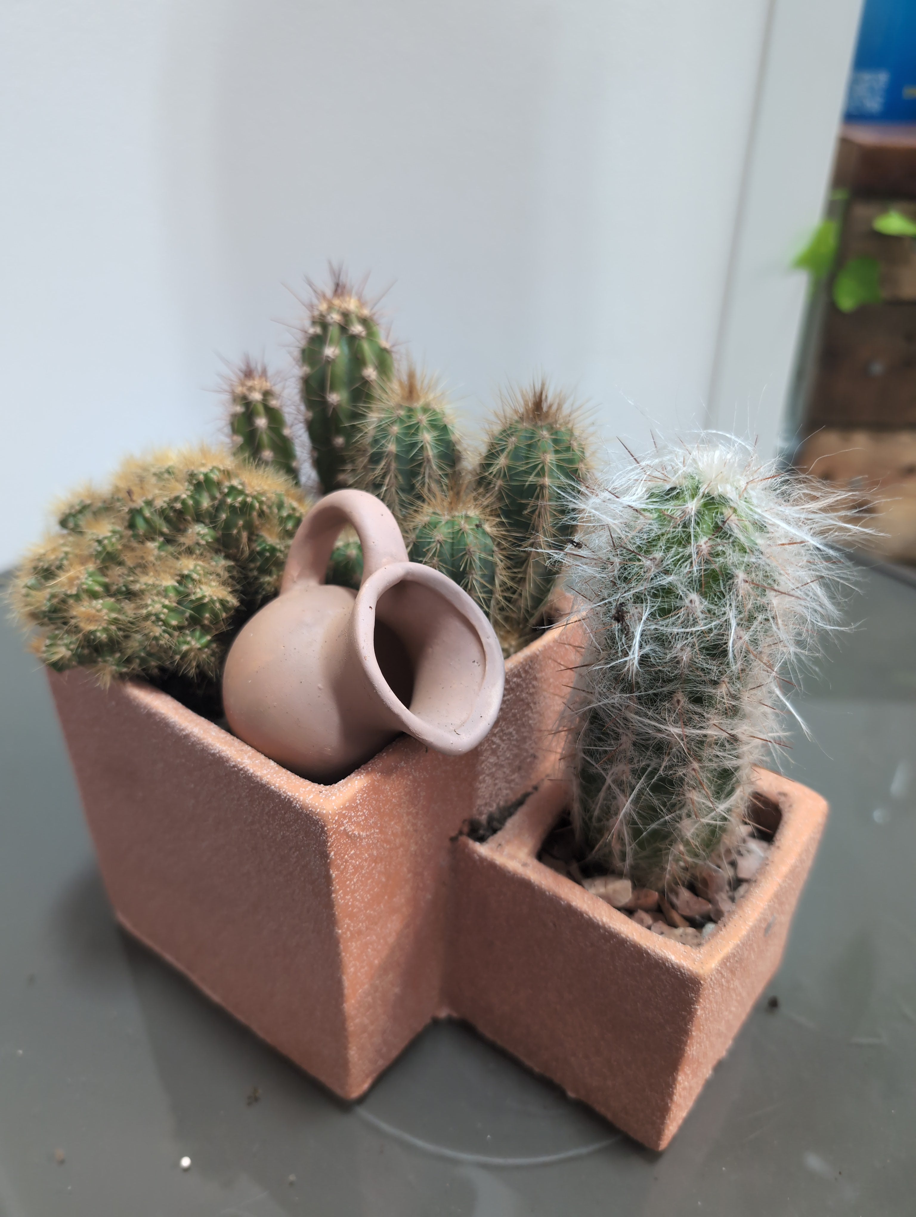 Cacti  - 2 level in terracotta (Medium)