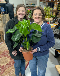 Plant Bingo | Grow With Joe Events | Friday 14th August |